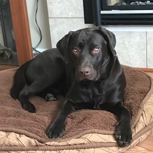 Meet your Posher, Veronica